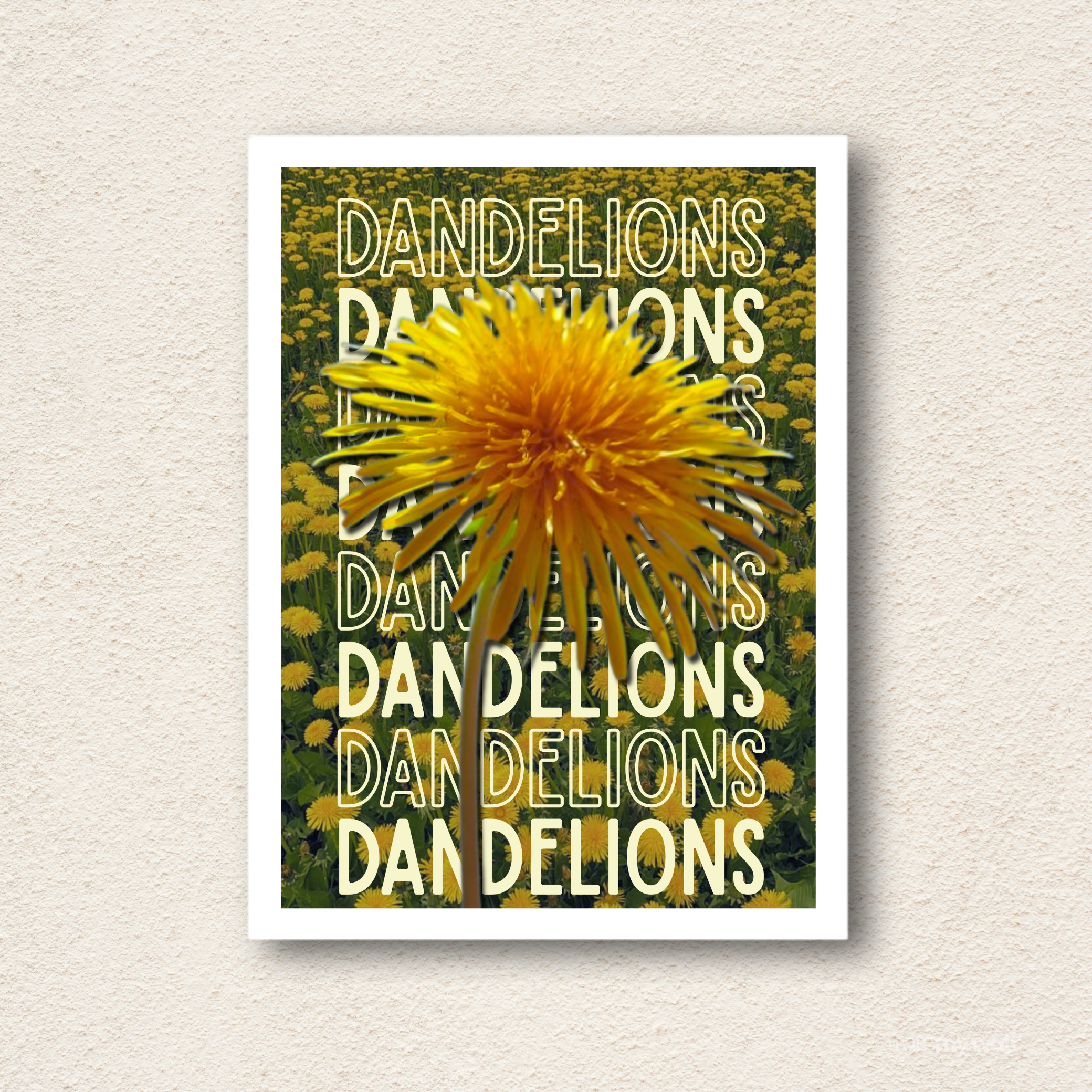 Dandelions Typographic Wall Frame