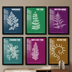 Botanical Ferns 6-Piece Gallery Wall Frame Set
