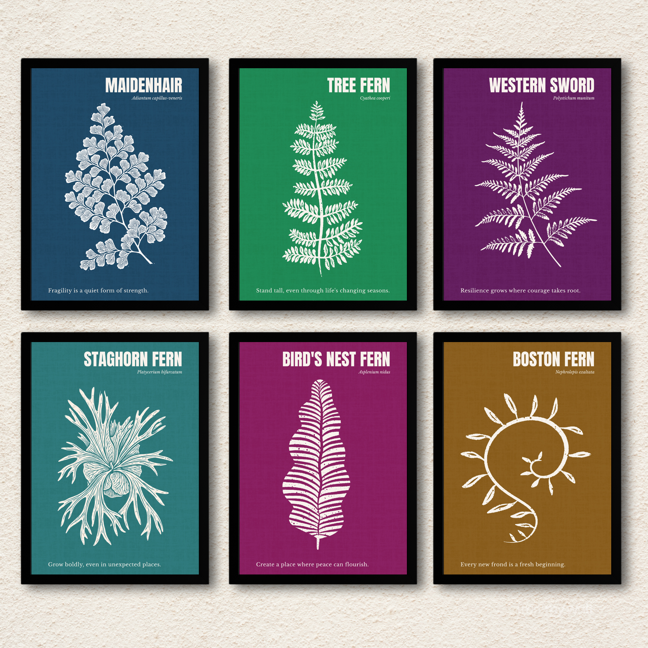 Botanical Ferns 6-Piece Gallery Wall Frame Set