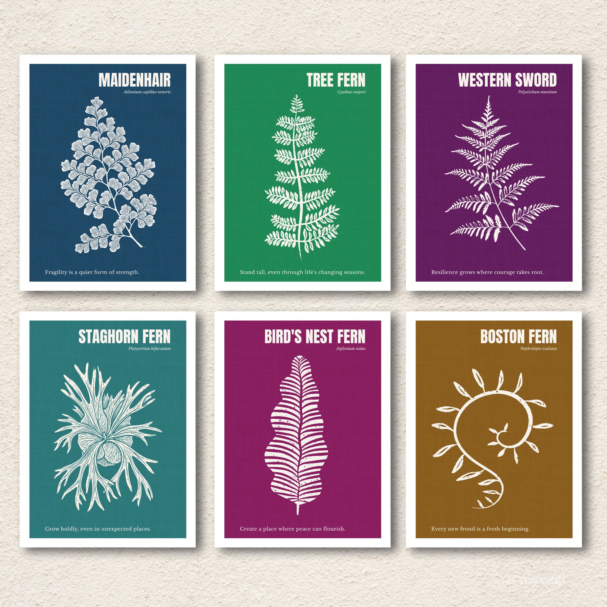 Botanical Ferns 6-Piece Gallery Wall Frame Set