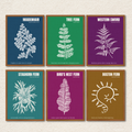 Botanical Ferns 6-Piece Gallery Wall Frame Set